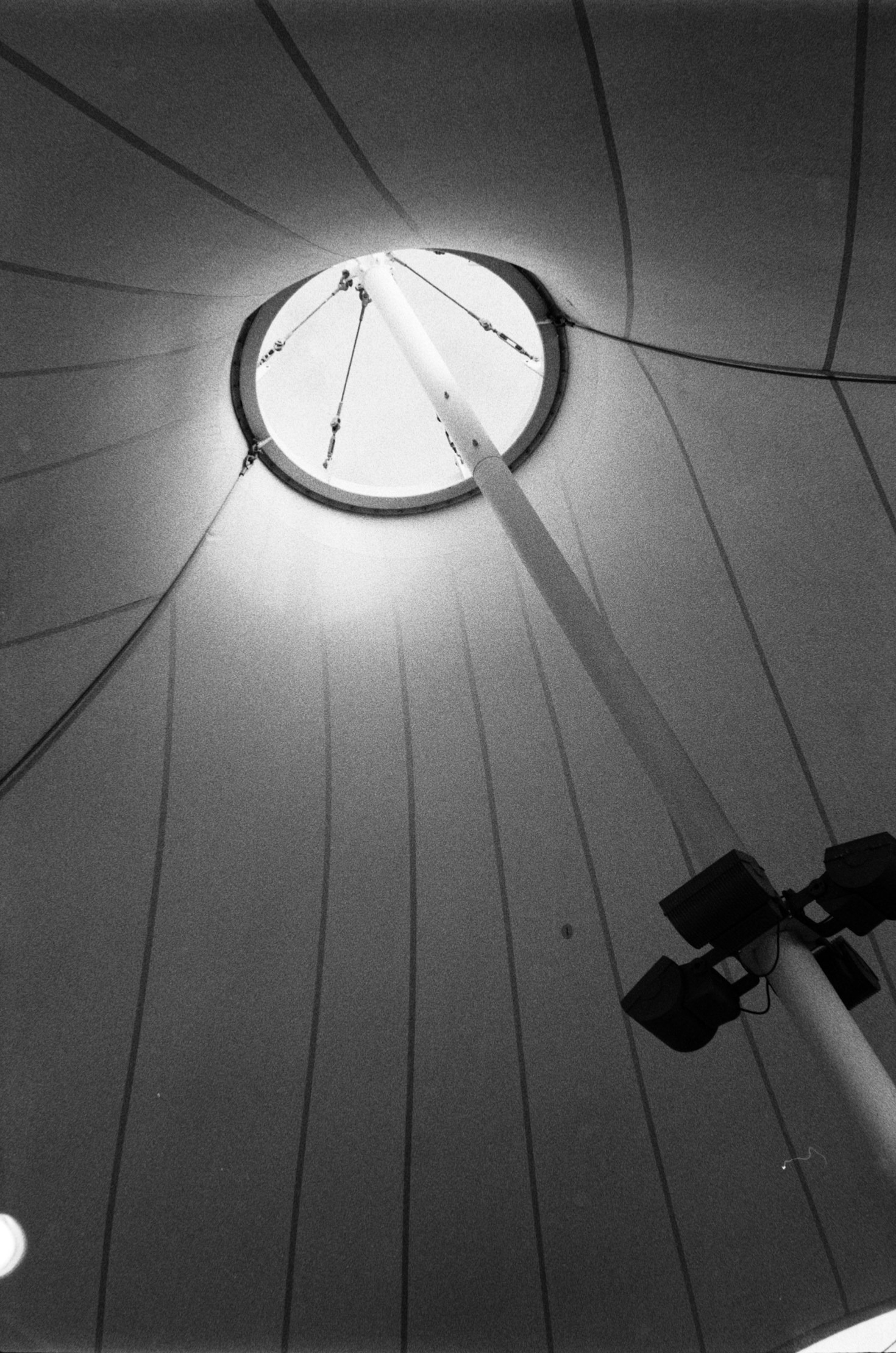 Resistencia de las carpas industriales en ambientes desafiantes